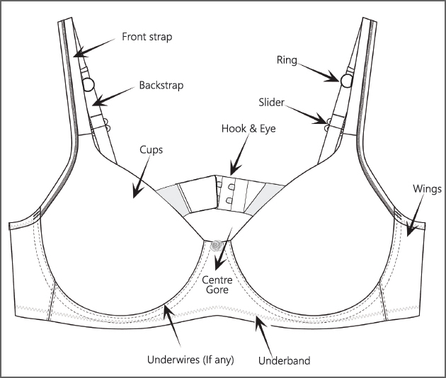 Anatomy of a bra